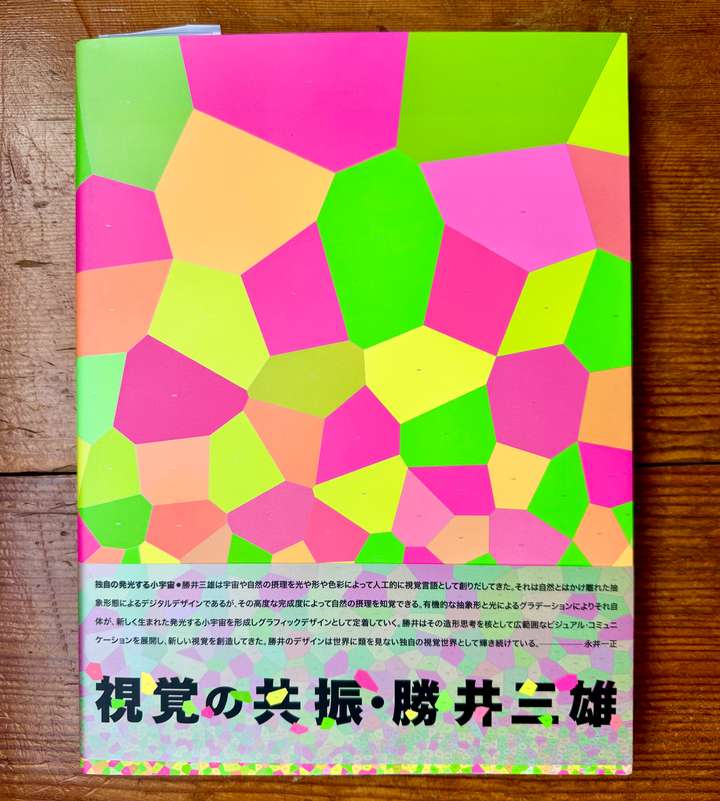Visionary Resonance - Mitsuo Katsui