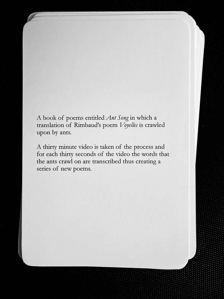 A card saying:A book of poems entitled Ant Song in which a translation of Rimbaud's poem Voyelles is crawled upon by ants. A thirty minute video is taken of the process and for each thirty seconds of the video the words that the ants crawl on are transcribed thus creating a series of new poems.
